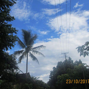 Meet your Posher, 수민